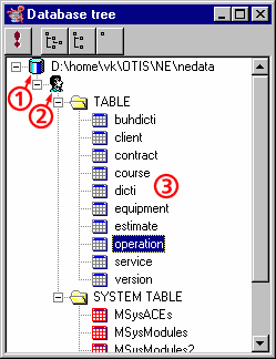 Database tree window